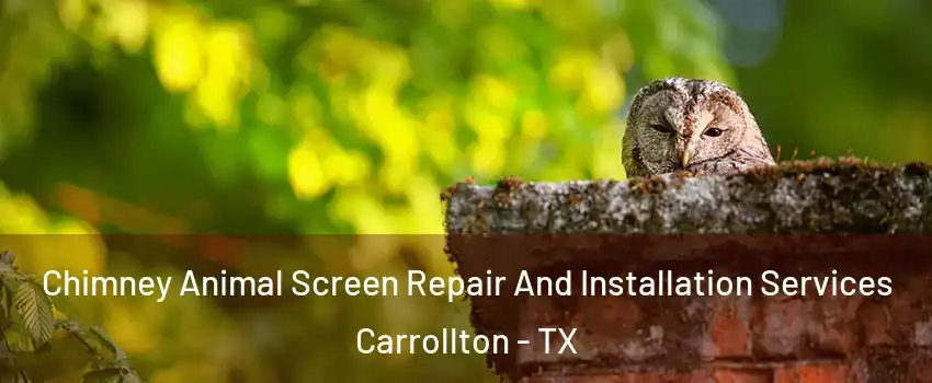 Chimney Animal Screen Repair And Installation Services Carrollton - TX