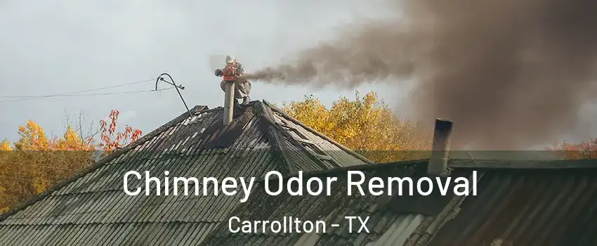 Chimney Odor Removal Carrollton - TX