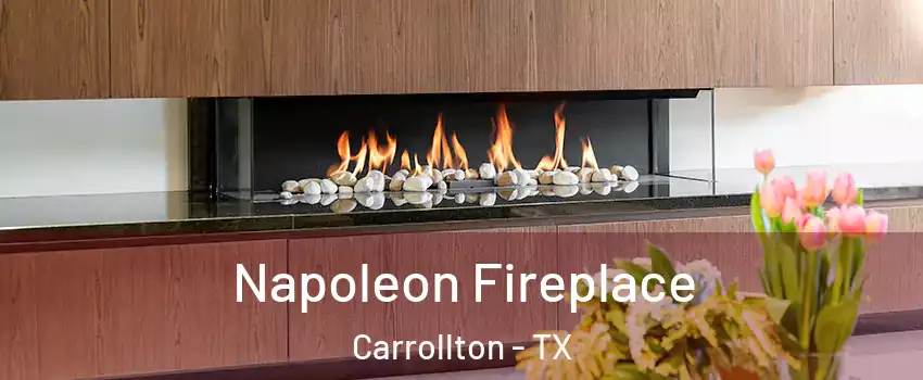 Napoleon Fireplace Carrollton - TX
