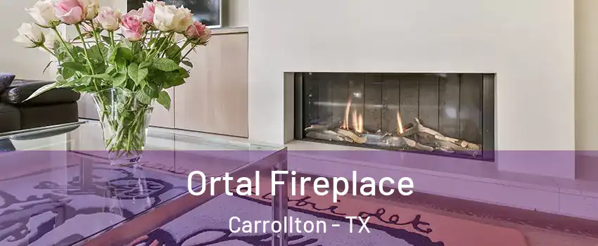 Ortal Fireplace Carrollton - TX
